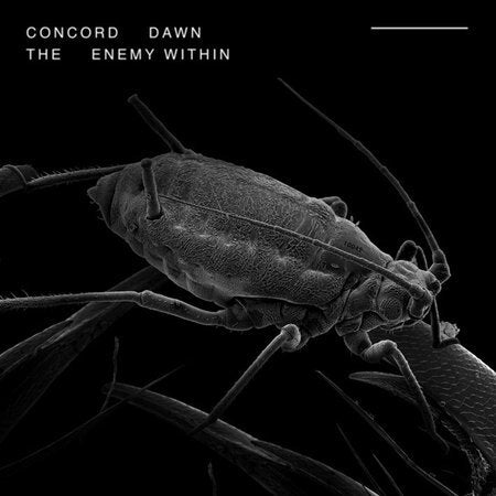 Concord Dawn - Enemy Within
