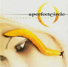 画像をギャラリービューアに読み込む, A Perfect Circle - Thirteenth Step
