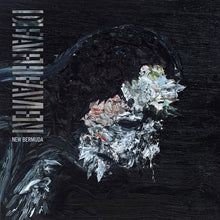 Load image into Gallery viewer, Deafheaven - New Bermuda
