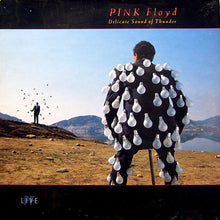 Load image into Gallery viewer, Pink Floyd 2xLP gatefold
