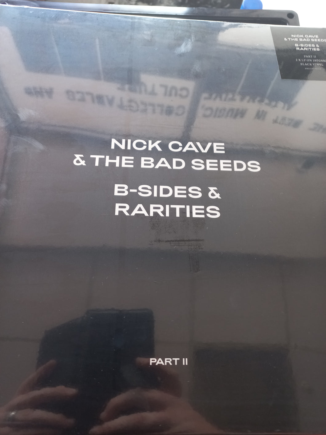 Nick Cave and the Bad Seeds - B Sides and Rarities