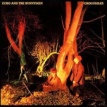Echo and the Bunnymen - Crocodiles