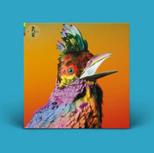 画像をギャラリービューアに読み込む, Flume - Palaces

