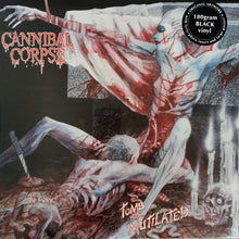 画像をギャラリービューアに読み込む, Cannibal Corpse - Tomb of the Mutilated
